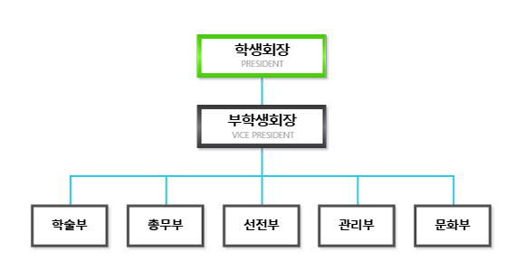 소프트웨어학과 학생회 조직도